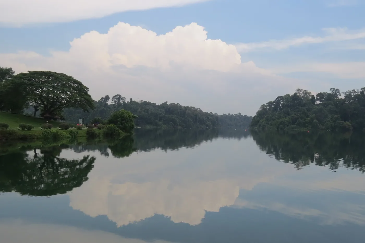 MacRitchie Reservoir on a bright afternoon, the park lawn and rain trees along the water's edge